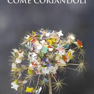 Promozione Come coriandoli
