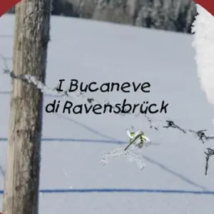 Prezzo Basso I bucaneve di Ravensbrück