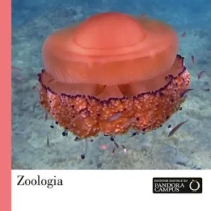 Zoologia Offerta Speciale