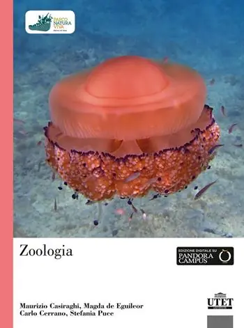 Zoologia Offerta Speciale