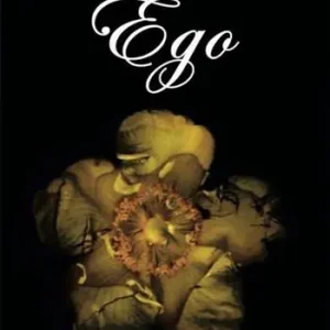 Ego Direttamente Dal Produttore