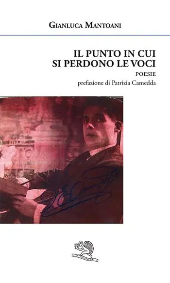 Compra Adesso Il punto in cui si perdono le voci