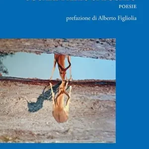 Ultima Occasione Sguardi allo specchio