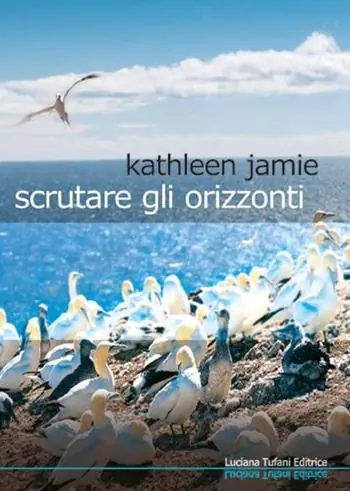 Scrutare gli orizzonti Quantità Limitata