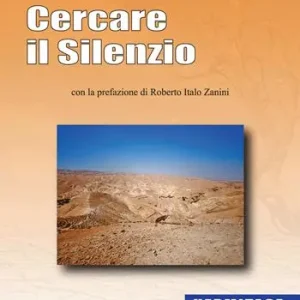 Cercare il silenzio Professionale