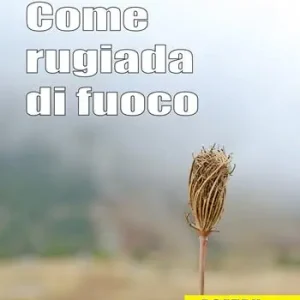 Più Venduto Come rugiada di fuoco