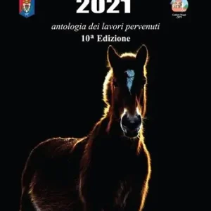 Premio Dragut 2021. Antologia dei lavori pervenuti. 10ª edizione Occasione