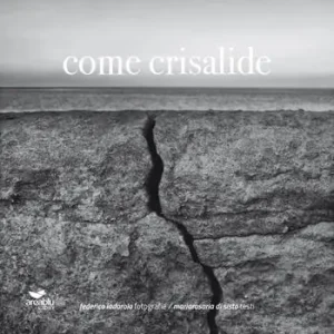 Come crisalide A Buon Prezzo