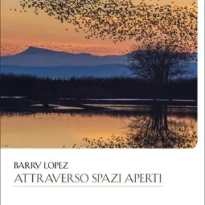 Attraverso spazi aperti Spedizione Espresso