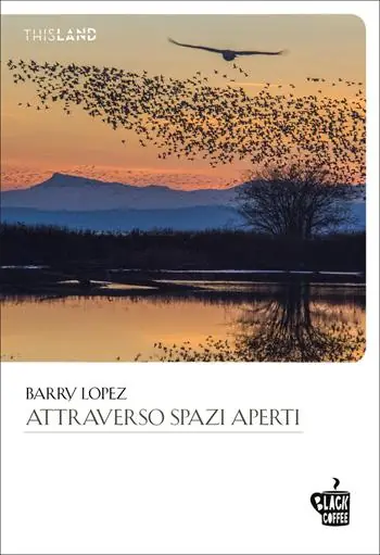 Attraverso spazi aperti Spedizione Espresso