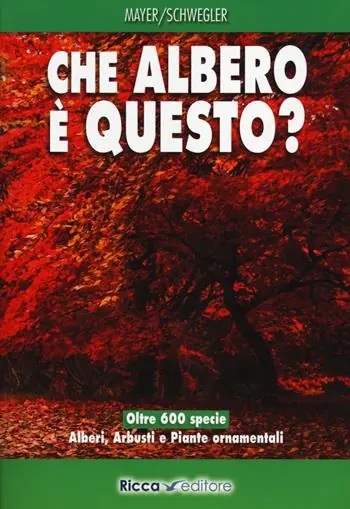 Che albero è questo? Ediz. illustrata Nuovo Arrivo