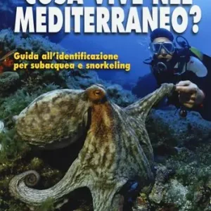 Cosa vive nel Mediterraneo? Guida all‘identificazione per i subacquea e snorkeling Promozione