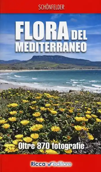 Acquista Ora Flora del Mediterraneo. Ediz. illustrata