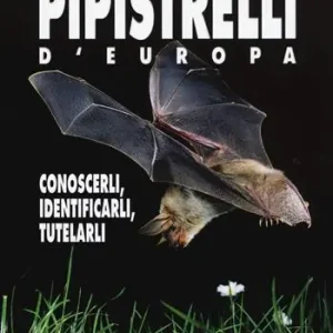 Solo Oggi Pipistrelli d‘Europa. Conoscerli, identificarli, tutelarli