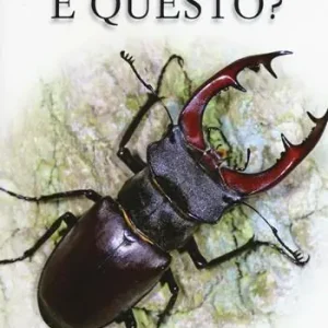Che insetto è questo? Ediz. illustrata Nuova Collezione