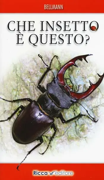 Che insetto è questo? Ediz. illustrata Nuova Collezione