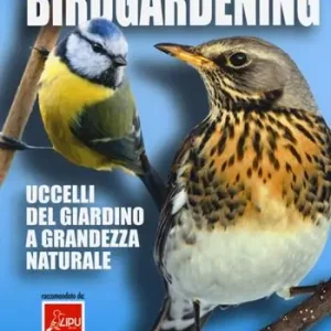 Birdgardening. Uccelli del giardino a grandezza naturale Promo Stagionale