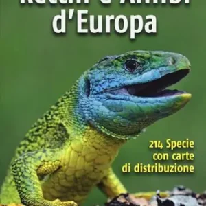 Rettili e anfibi d‘Europa Offerta