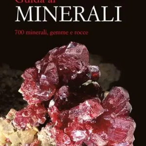 Economico Guida ai minerali. 700 minerali, gemme e rocce