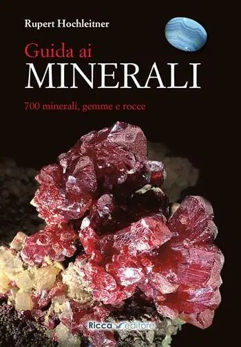 Economico Guida ai minerali. 700 minerali, gemme e rocce
