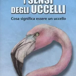 Di Tendenza i sensi degli uccelli. Cosa significa essere un uccello