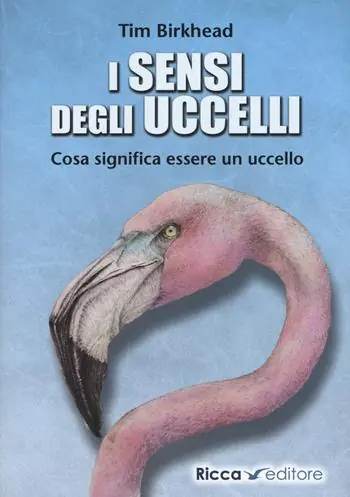 Di Tendenza i sensi degli uccelli. Cosa significa essere un uccello