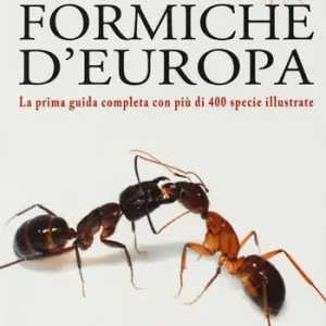 Solo Oggi Guida alle formiche d‘Europa