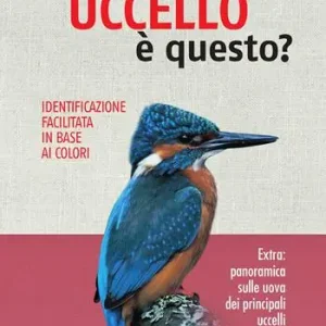 Che uccello è questo? Compra Adesso