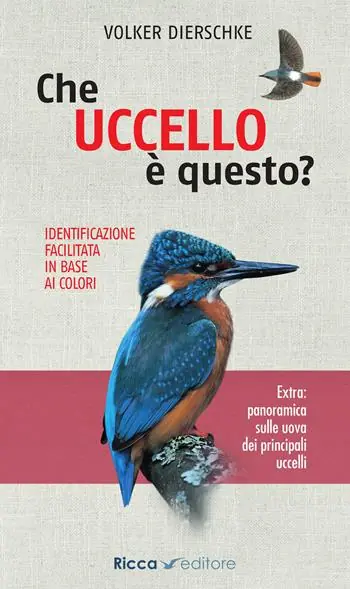 Che uccello è questo? Compra Adesso