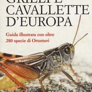 Scelto Dai Clienti Grilli e cavallette d‘Europa