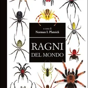 Vendita Finale Ragni del mondo