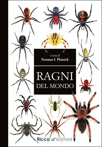 Vendita Finale Ragni del mondo