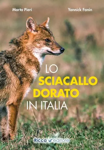 Subito Disponibile Lo sciacallo dorato in Italia