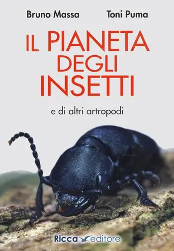 Promozione Il pianeta degli insetti e di altri artropodi