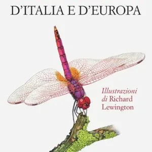 Libellule d‘Italia e d‘Europa Miglior Prezzo