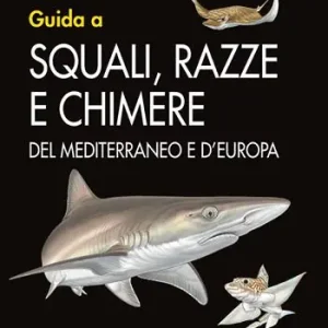 Guida a squali, razze e chimere del Mediterraneo e d‘Europa Quantità Limitata