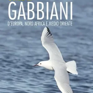 Sconto Guida ai gabbiani d‘Europa, Nord Africa e Medio Oriente. Ediz. a colori
