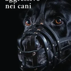 Il comportamento aggressivo nei cani A Buon Prezzo
