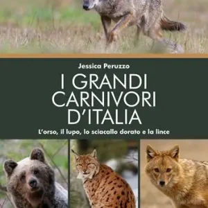 Reso Gratuito I grandi carnivori d‘Italia. L’orso, il lupo, lo sciacallo dorato e la lince