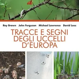 Tracce e segni degli uccelli d‘Europa. Nuova ediz. Bestseller