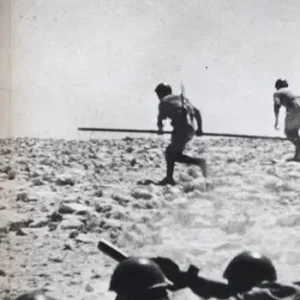 La battaglia di El Alamein Scelto Dai Clienti
