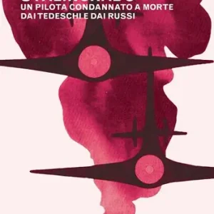 Subito Disponibile Un aereo per Stalingrado. Un pilota condannato a morte dai tedeschi e dai russi