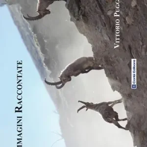 Prezzo Di Fabbrica Immagini raccontate