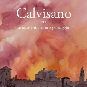 Calvisano. Tra arte, architettura e paesaggio. Ediz. illustrata Prezzo Scontato