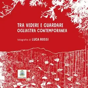 Tra vedere e guardare. Ogliastra contemporanea. Ediz. illustrata Prezzo Ridotto