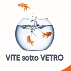 Spedizione Espresso Vite sotto vetro