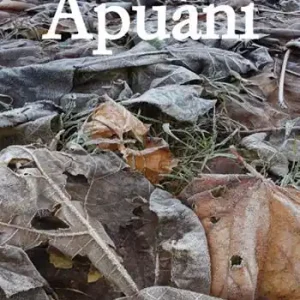 Occasione Apuani