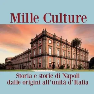 Mille culture. Storia e storie di Napoli dalle origini all‘unità d‘Italia Prezzo Di Fabbrica