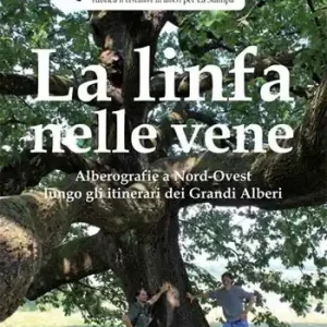 Consegna Rapida La linfa nelle vene. Alberografie a Nord-Ovest lungo gli itinerari dei grandi alberi