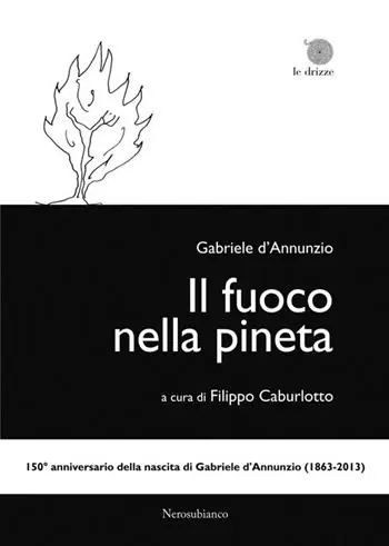 Prezzo Basso Il fuoco nella pineta